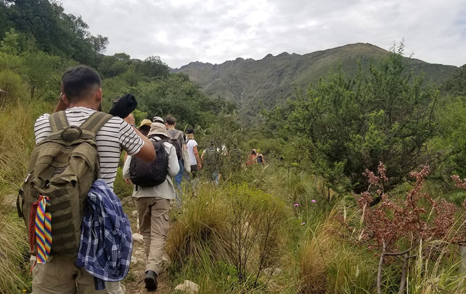 Reconocimiento de Flora Nativa
